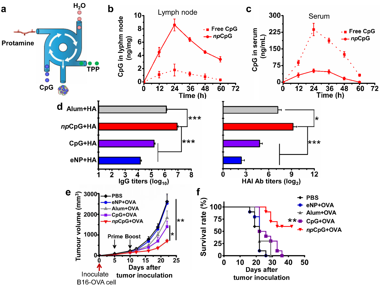 image-20221122143443-1