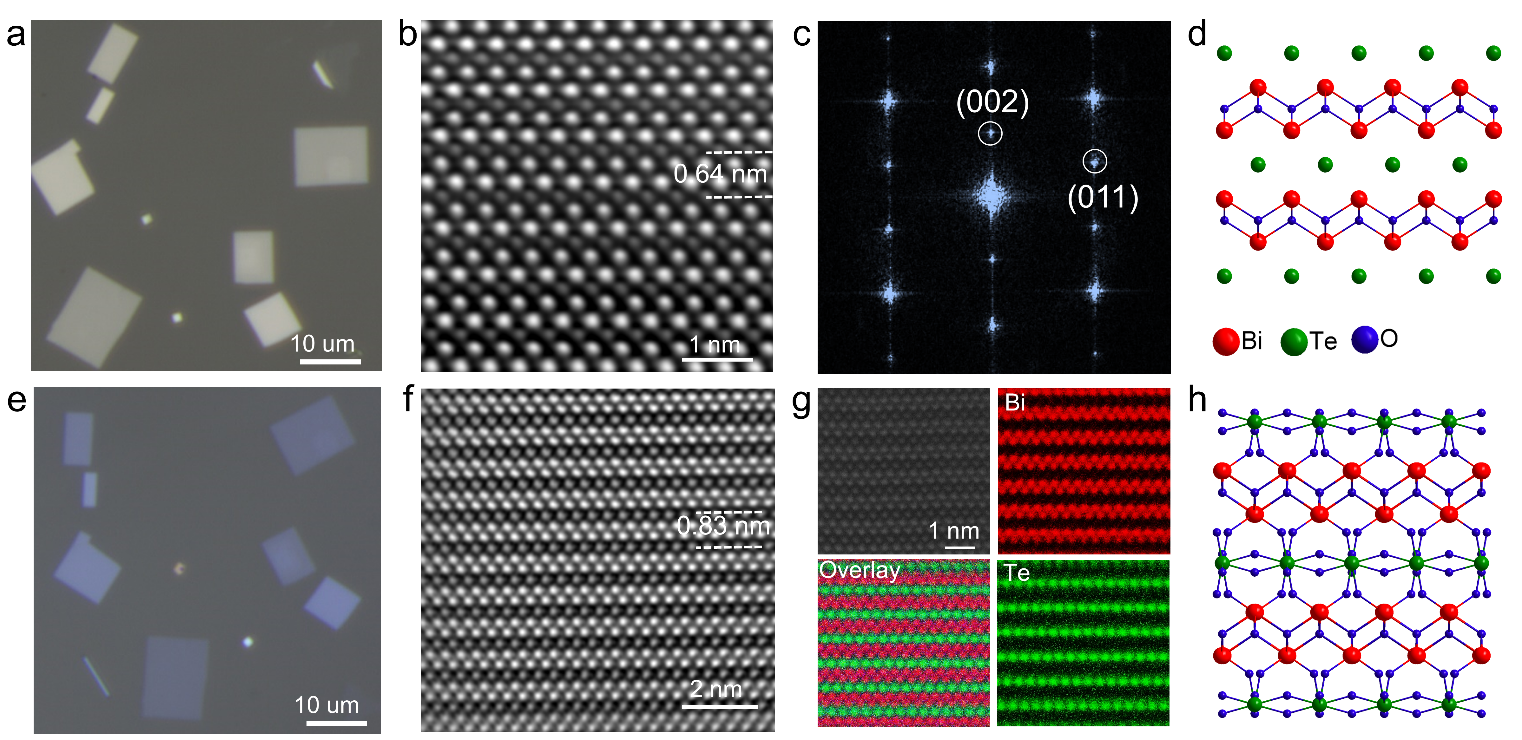 image-20230214090919-1