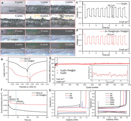 image-20230324093011-5