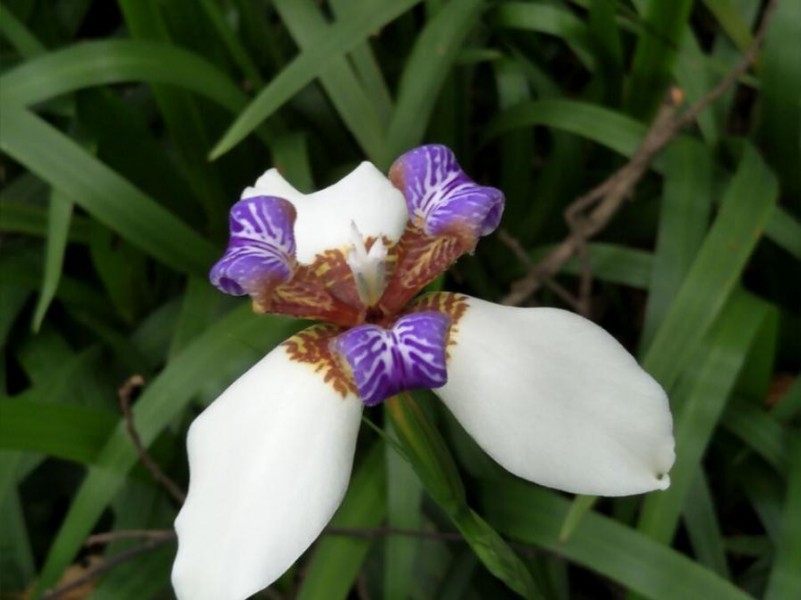 image-20220121150924-13