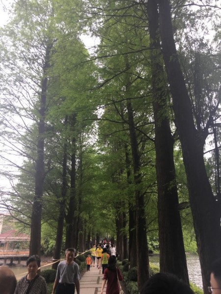 image-20220121150924-15