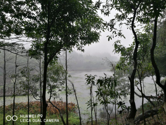 image-20220121151127-2