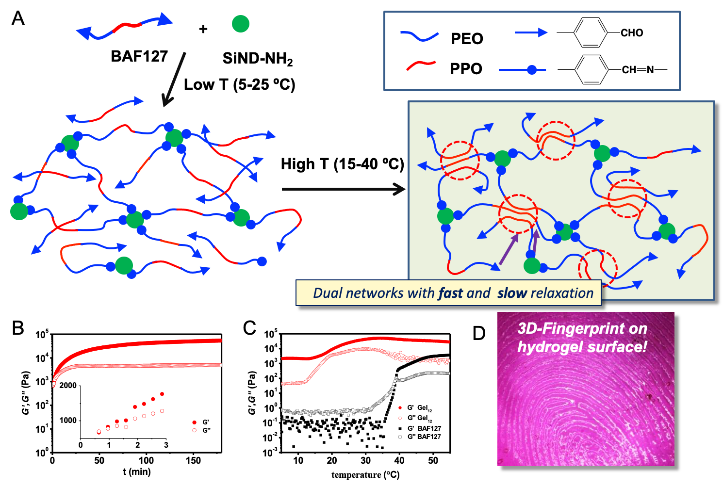 image-20220615114906-1