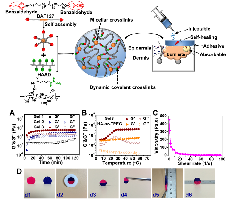 image-20220615114906-2