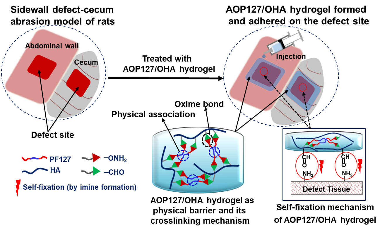 image-20220615114906-3