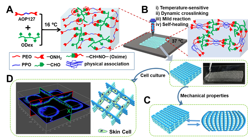 image-20220615114906-4