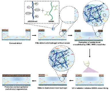 image-20220712110252-4