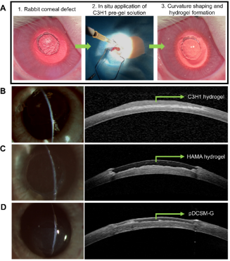 image-20220712110322-5