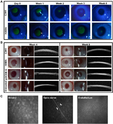 image-20220712110335-6