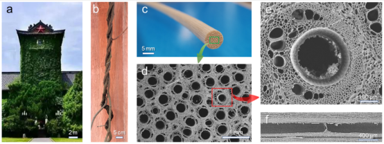 image-20220721092534-4