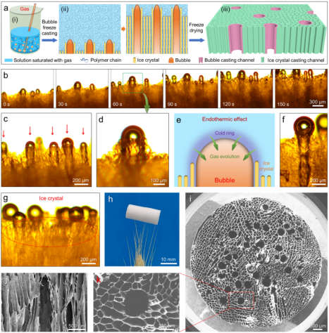 image-20220721092551-5