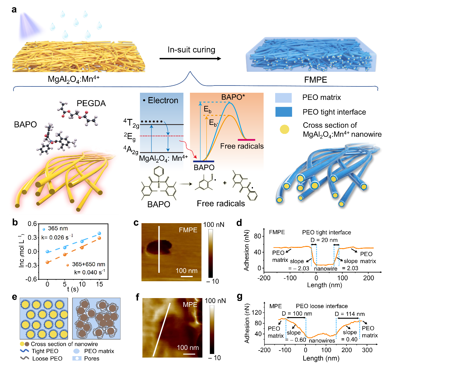 image-20221213094117-1