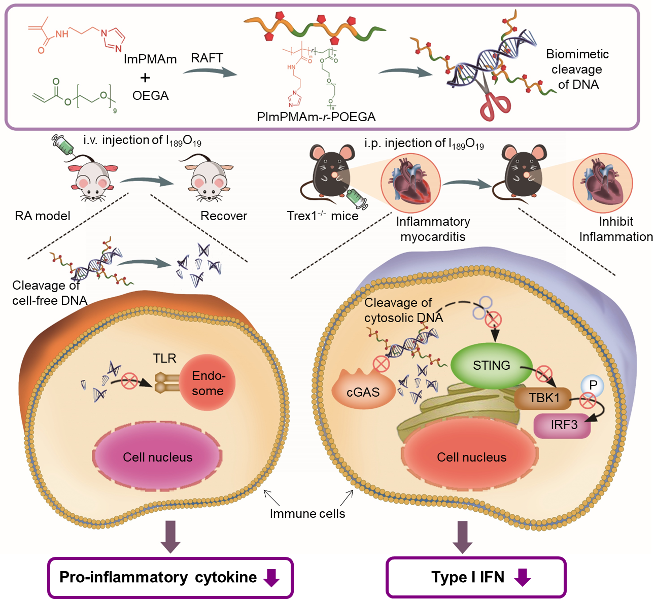 image-20230303144459-1