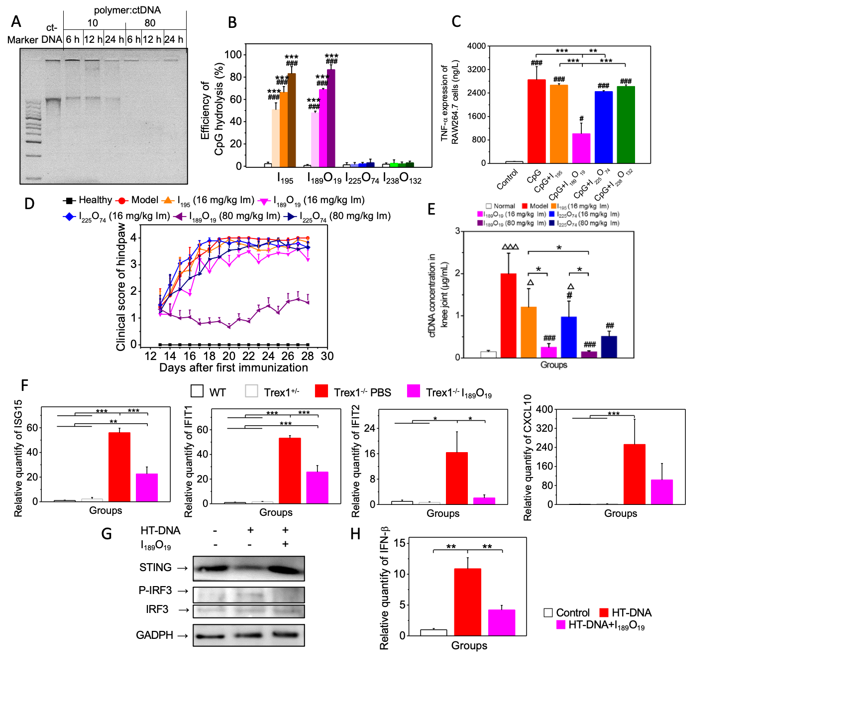 image-20230303144459-2