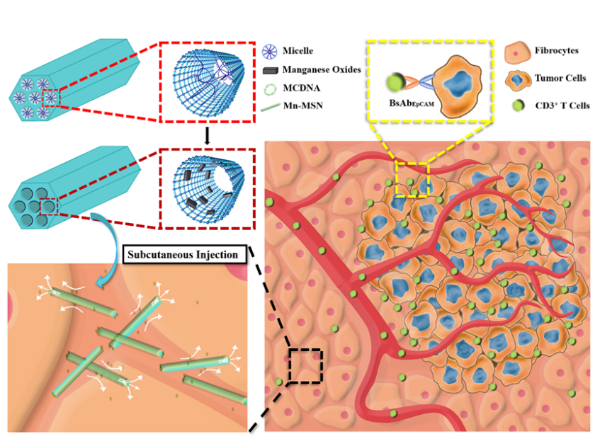 image-20230317091751-1