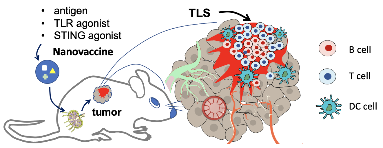 image-20230425115824-1