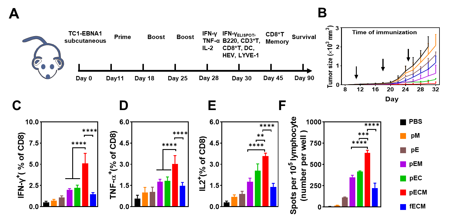 image-20230425115824-2