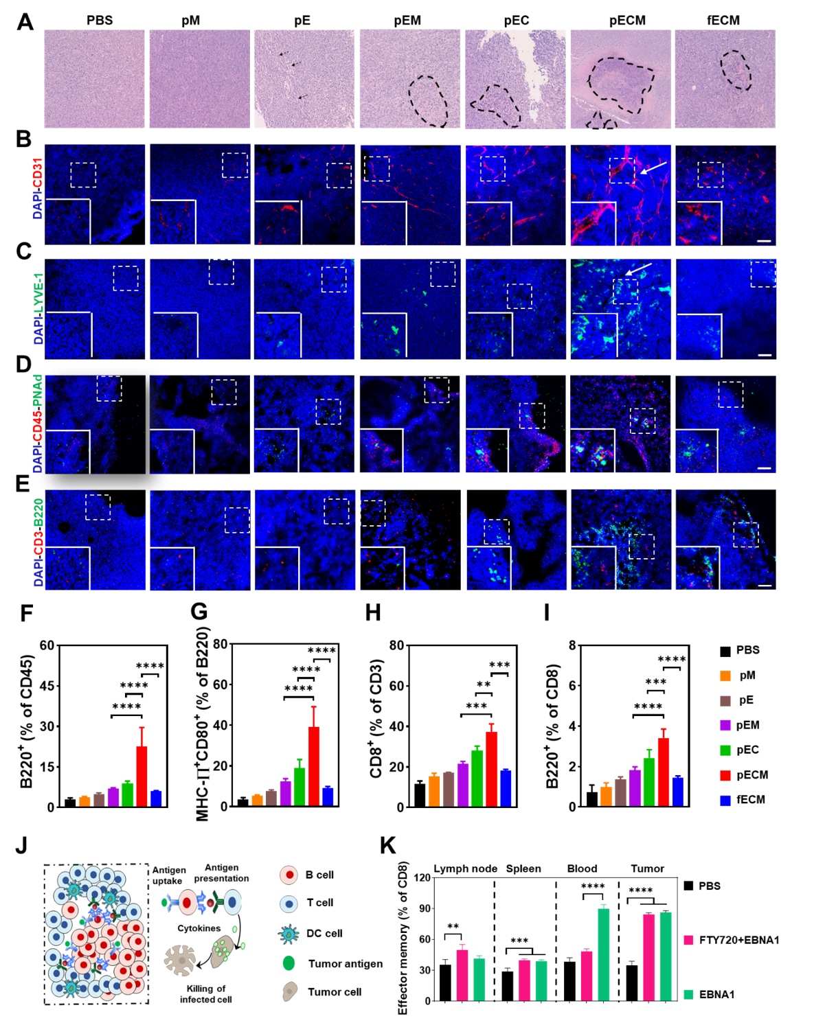 image-20230425115824-3