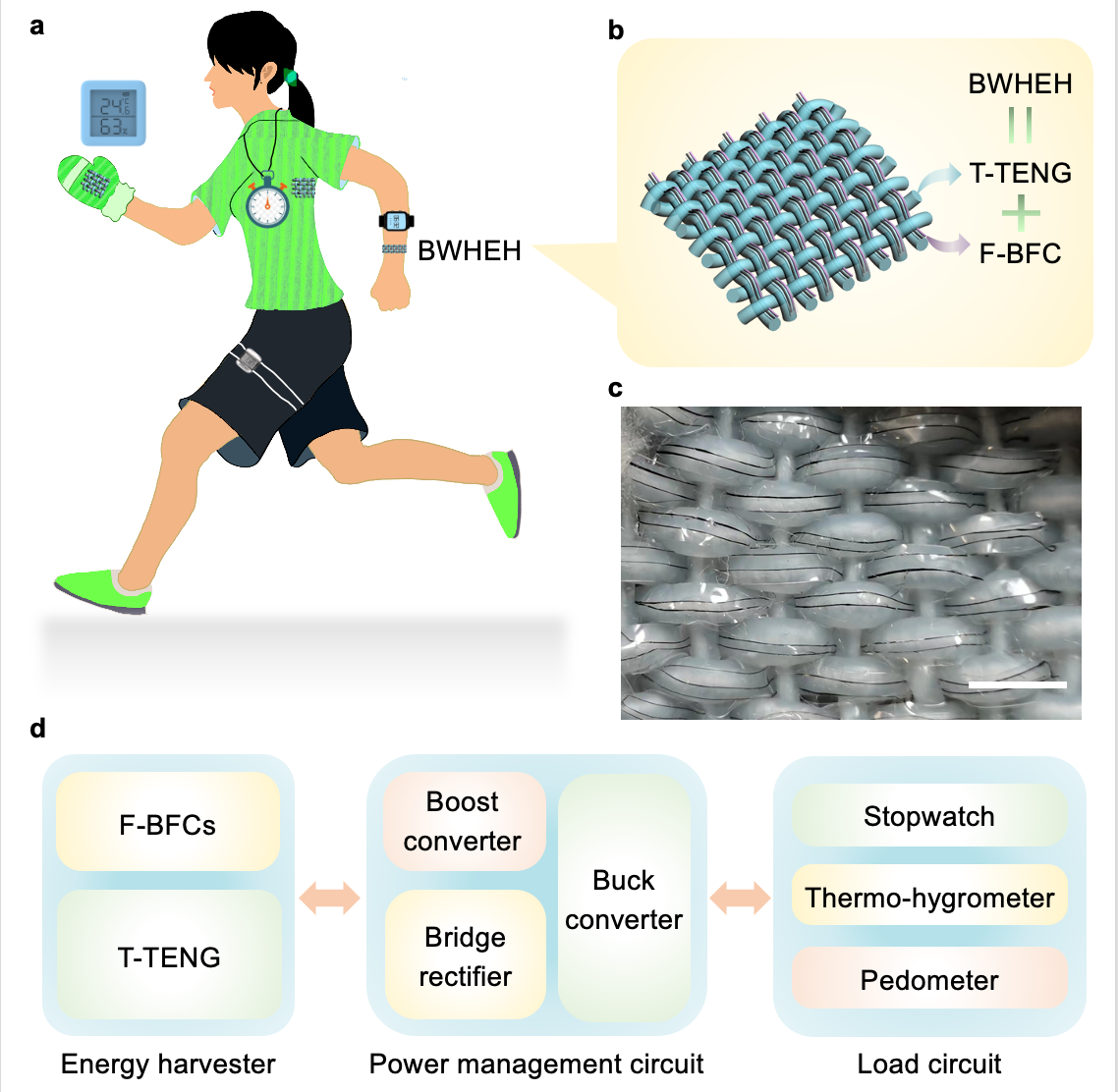 image-20230428163400-2