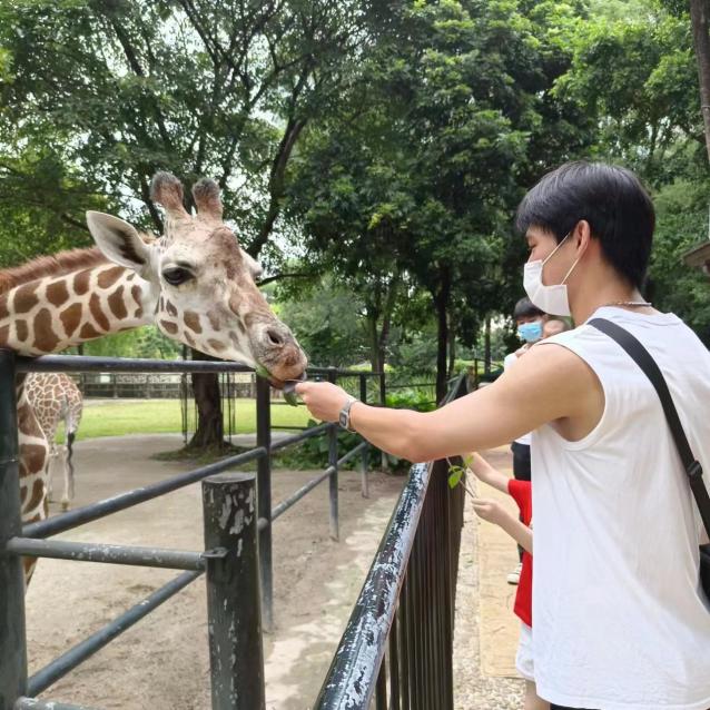 image-20230529201508-5