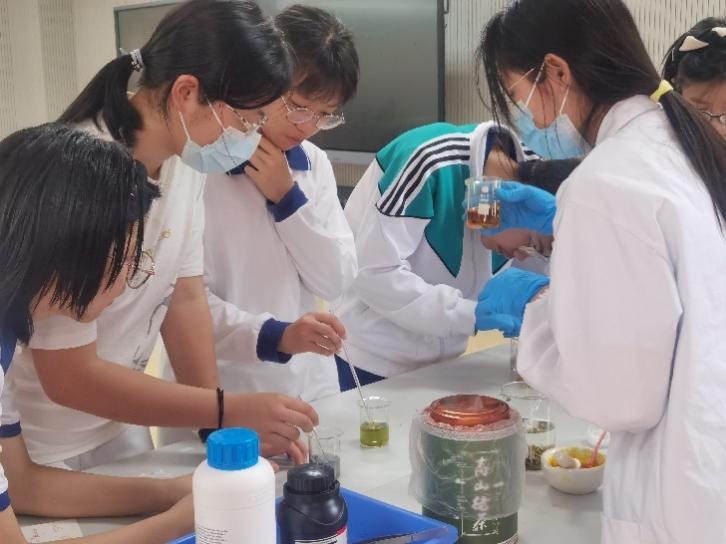 image-20230529202623-7