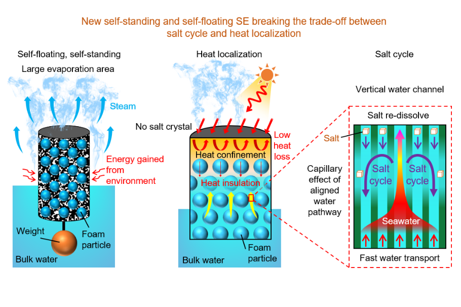 image-20230628125645-2