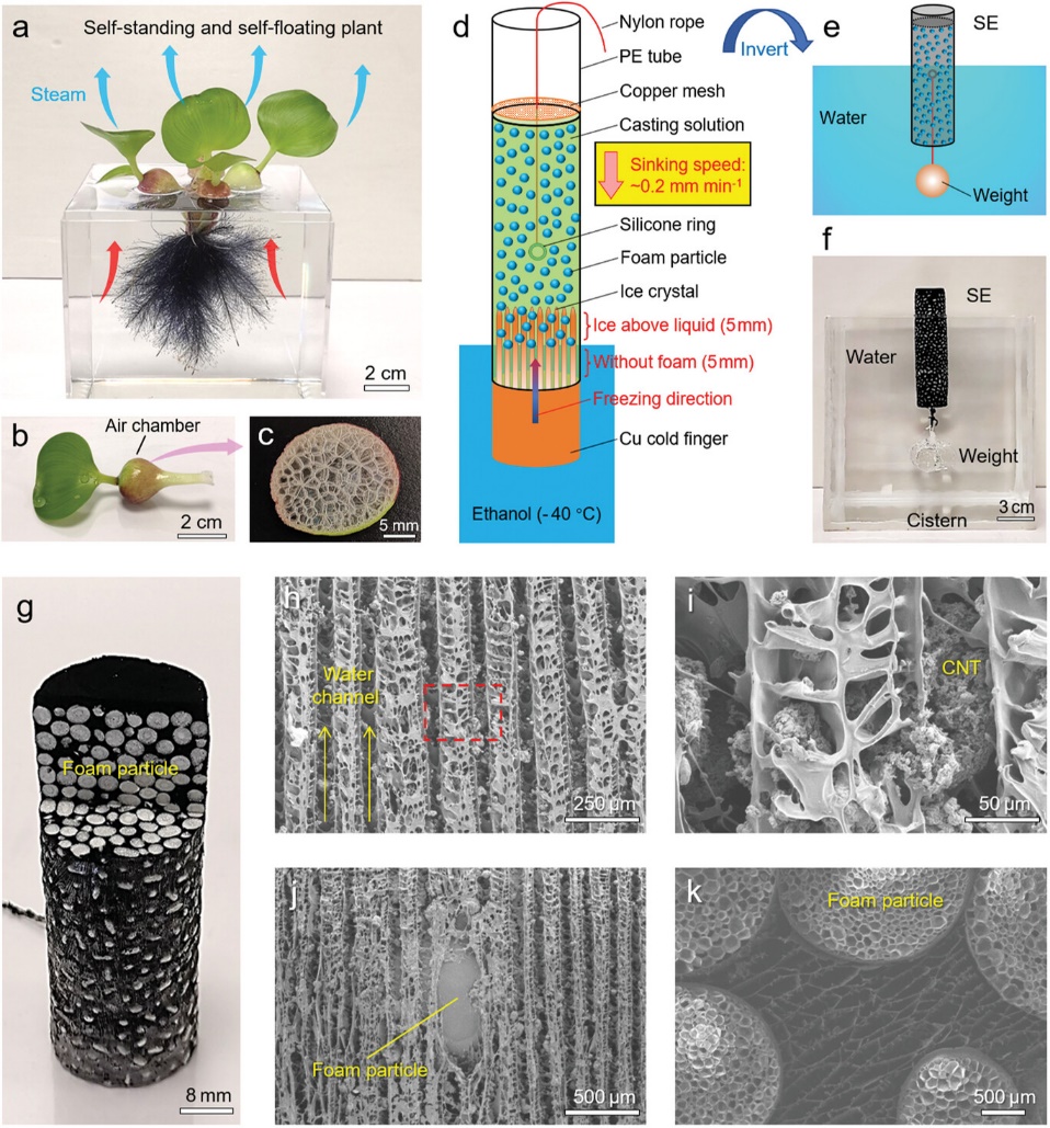 image-20230628125645-3