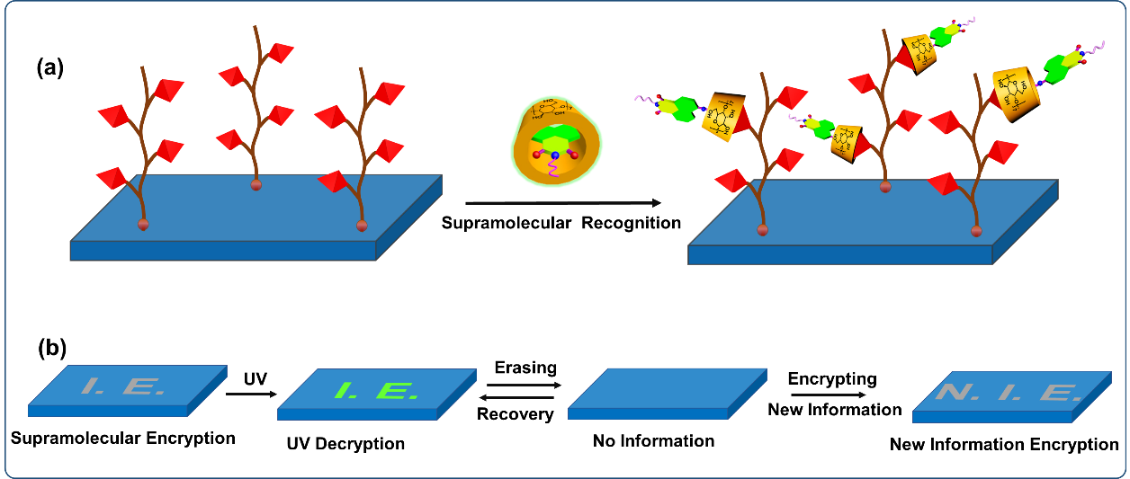 image-20230630114435-1