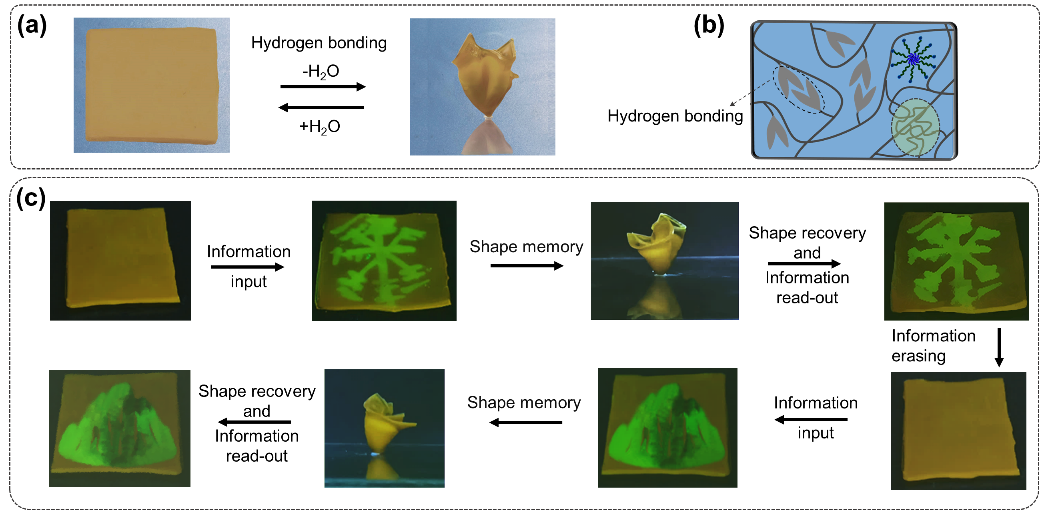 image-20230630114435-4