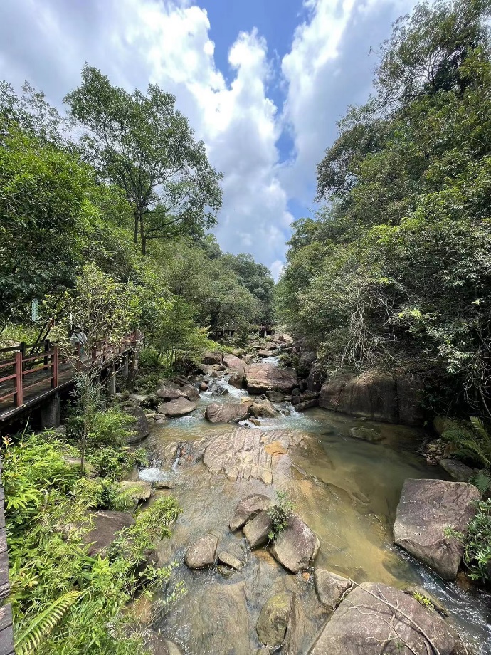 image-20230707135932-2