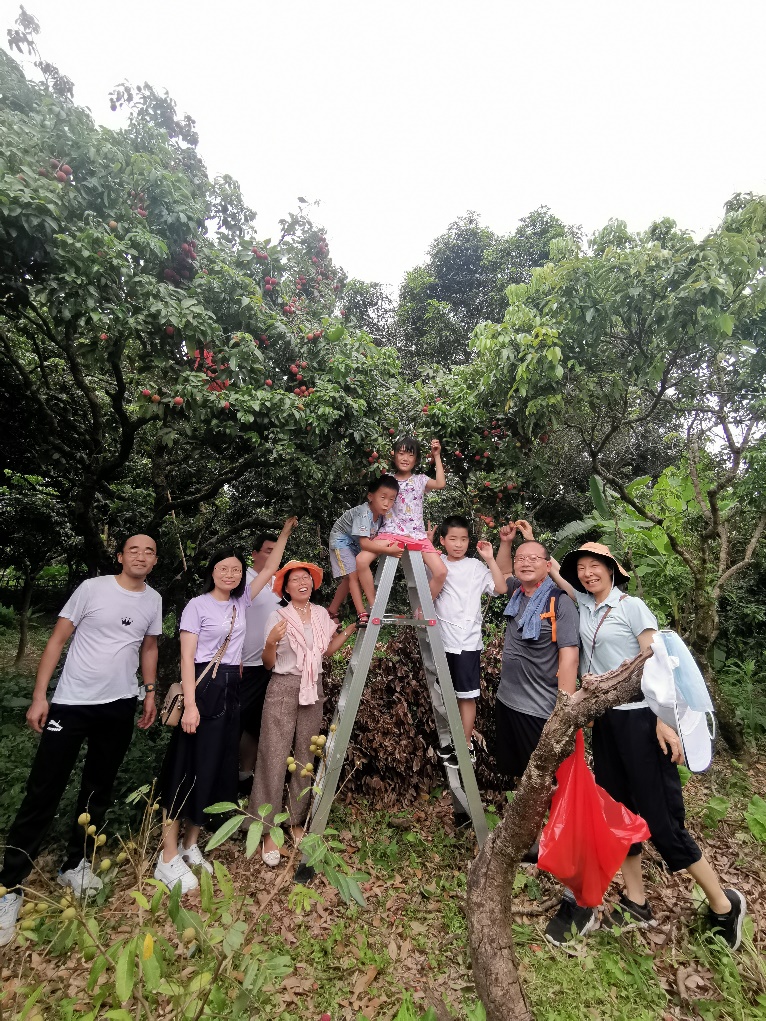 image-20230707135932-4