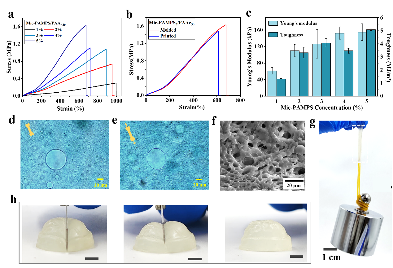 image-20230803092632-2