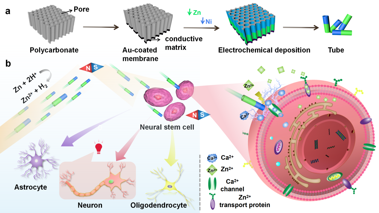 image-20230911081803-1