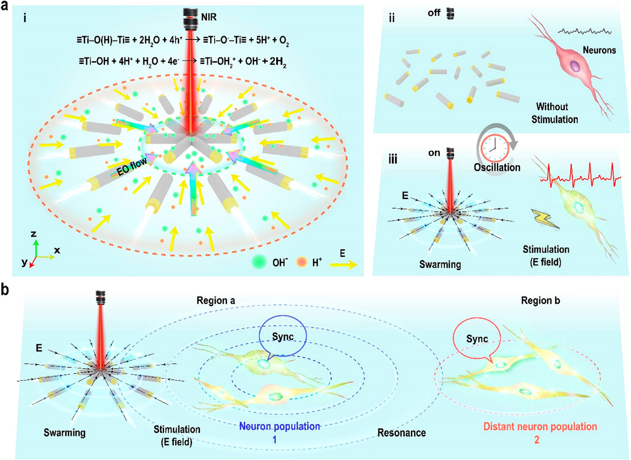 image-20230911081803-2