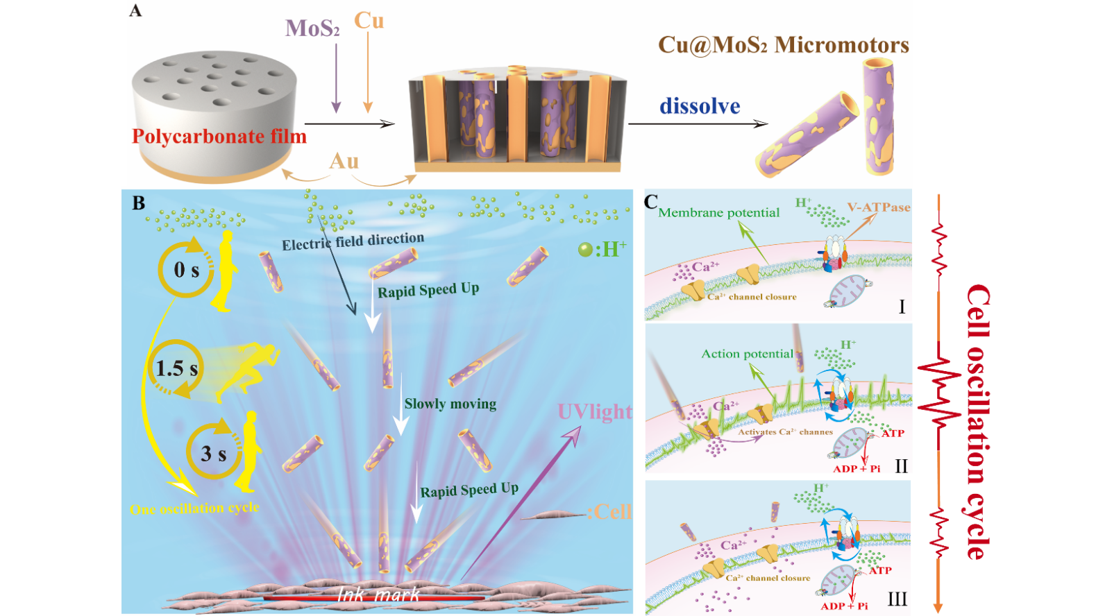 image-20230920112844-1