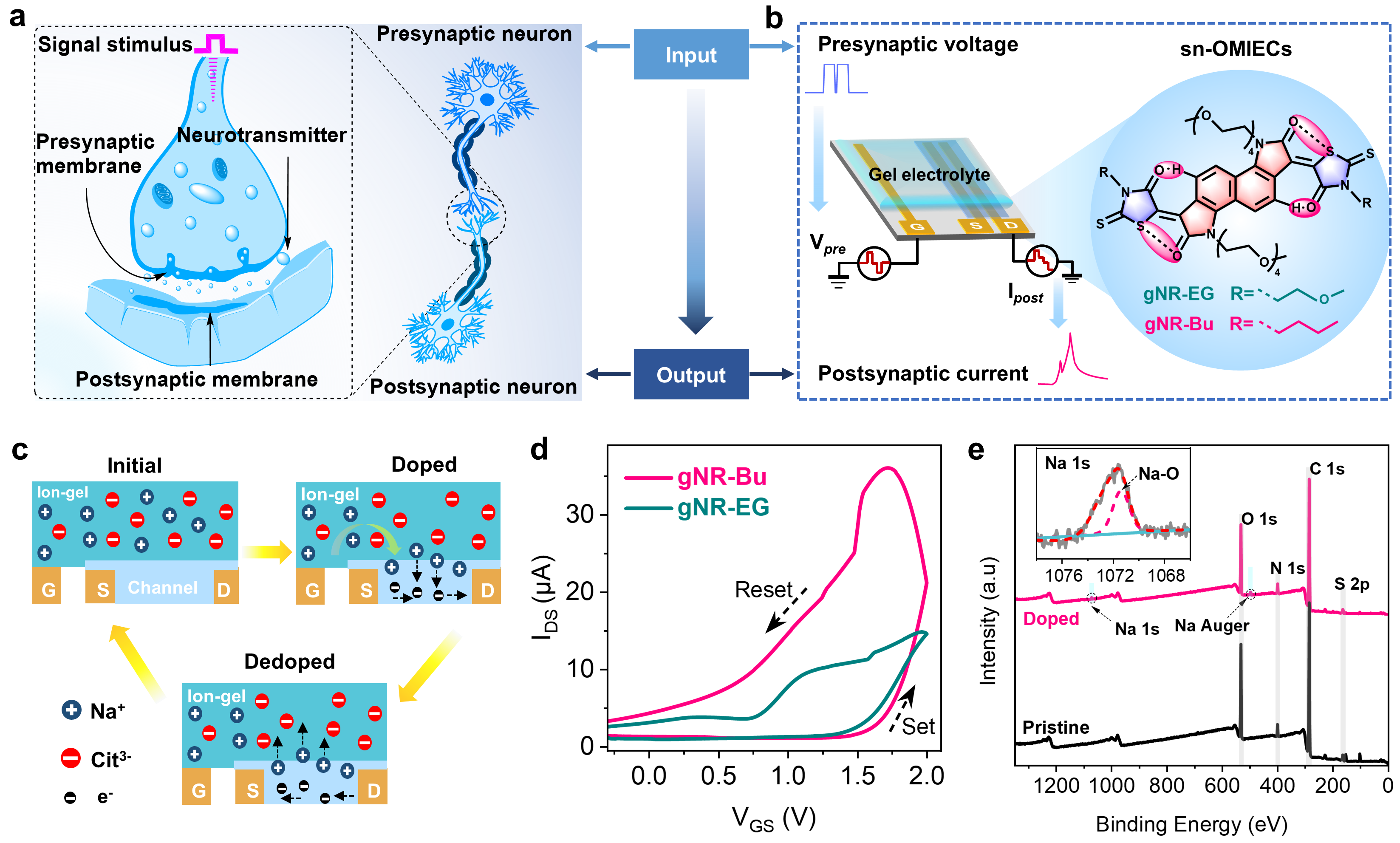 image-20231226094222-1