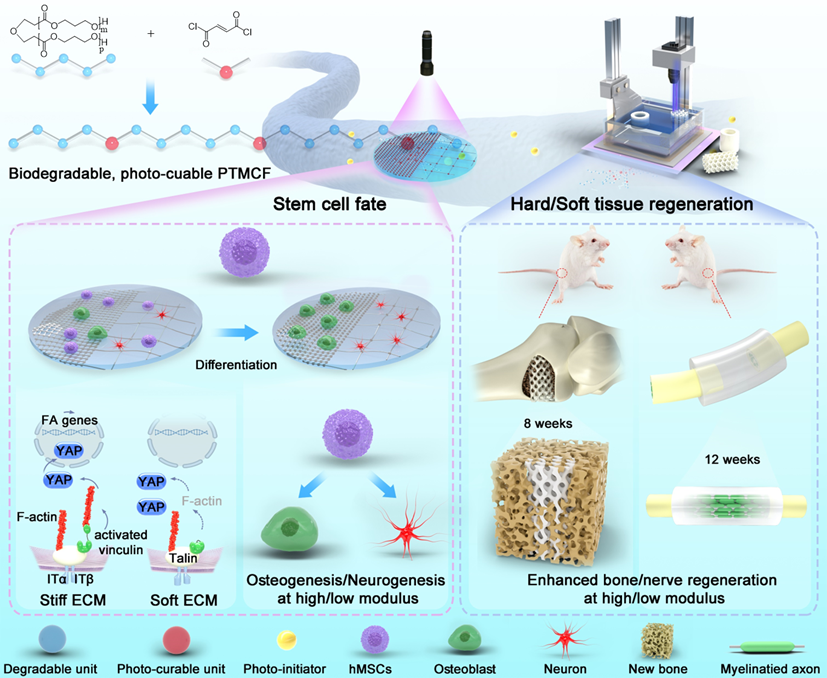 image-20240117133825-1