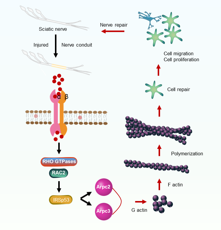 image-20240117133825-2