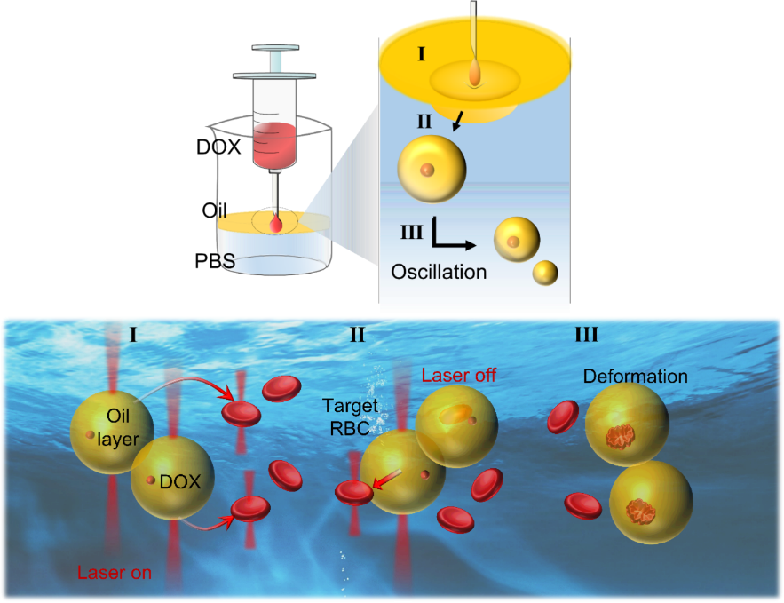 image-20240424090659-1