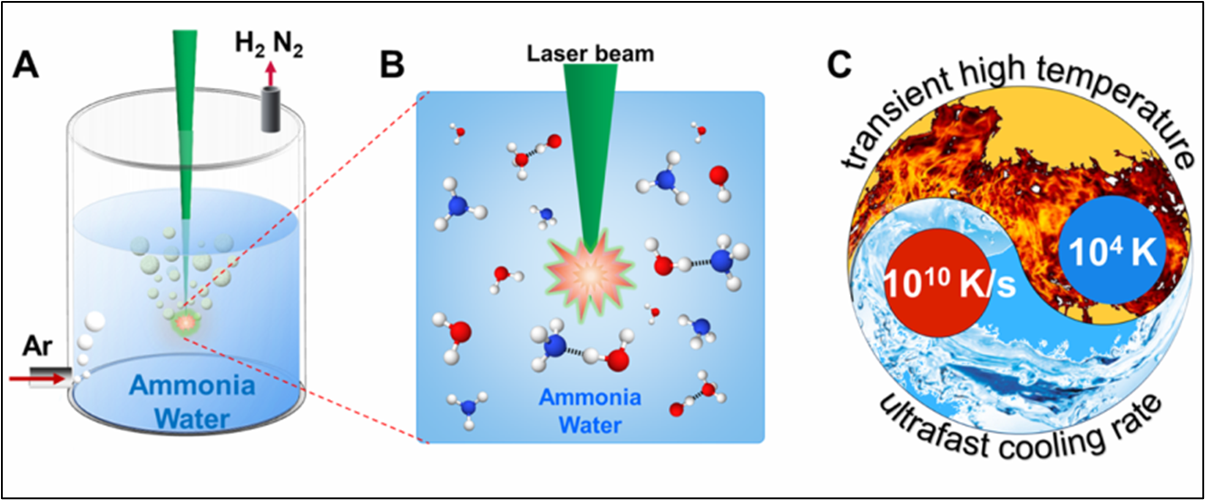 image-20240618092824-3