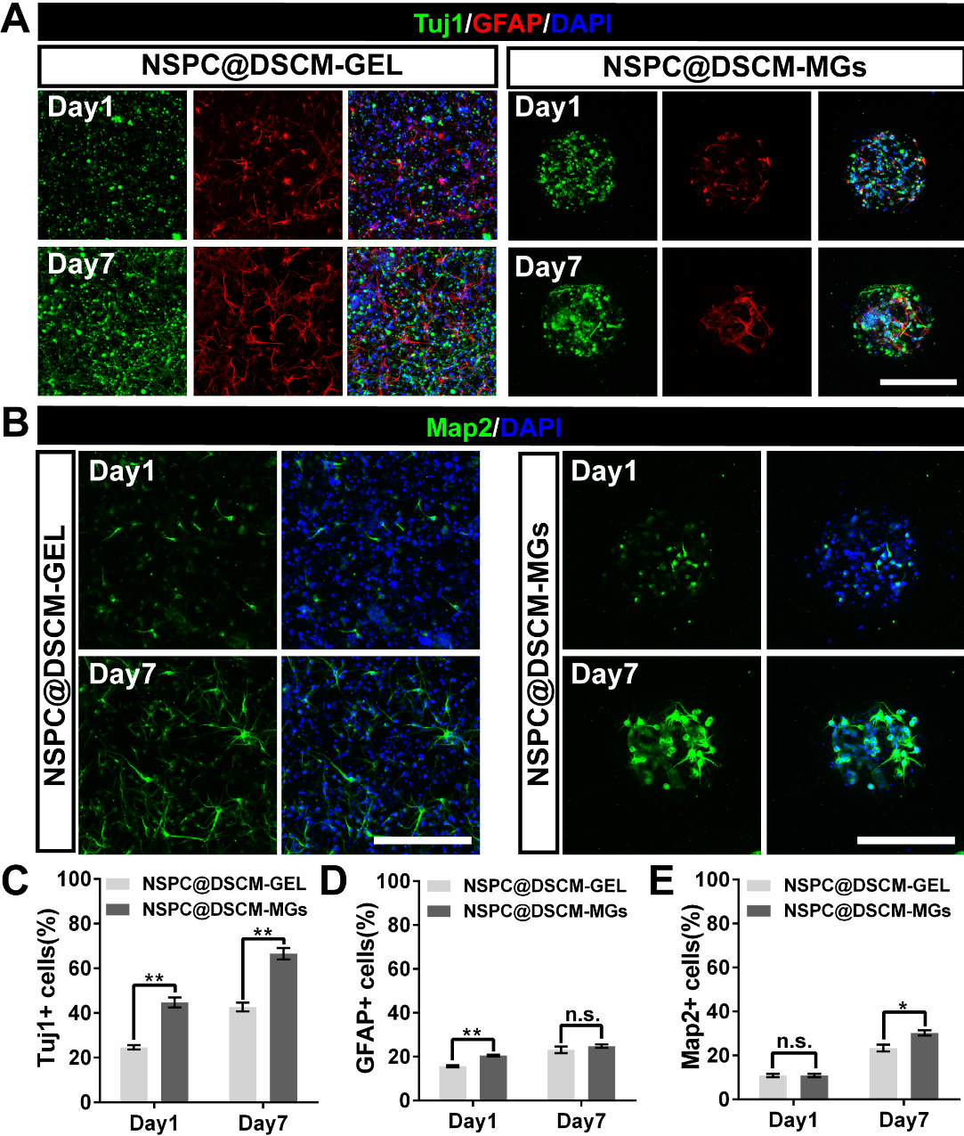 image-20240627090233-2