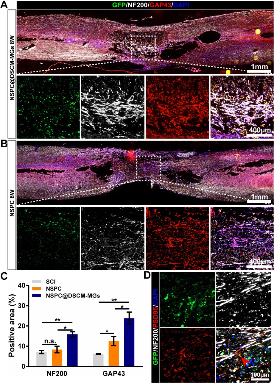 image-20240627090233-3