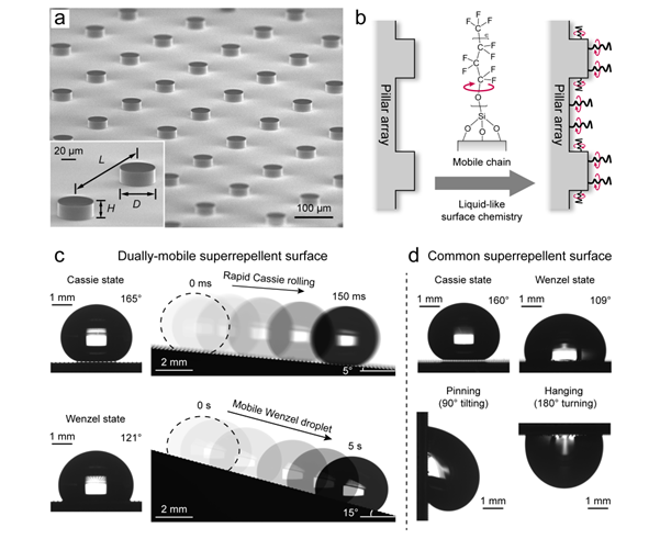 image-20240715111133-1