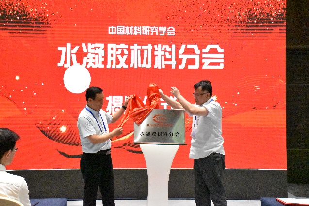 image-20240723184404-1