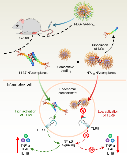 image-20240903144925-1