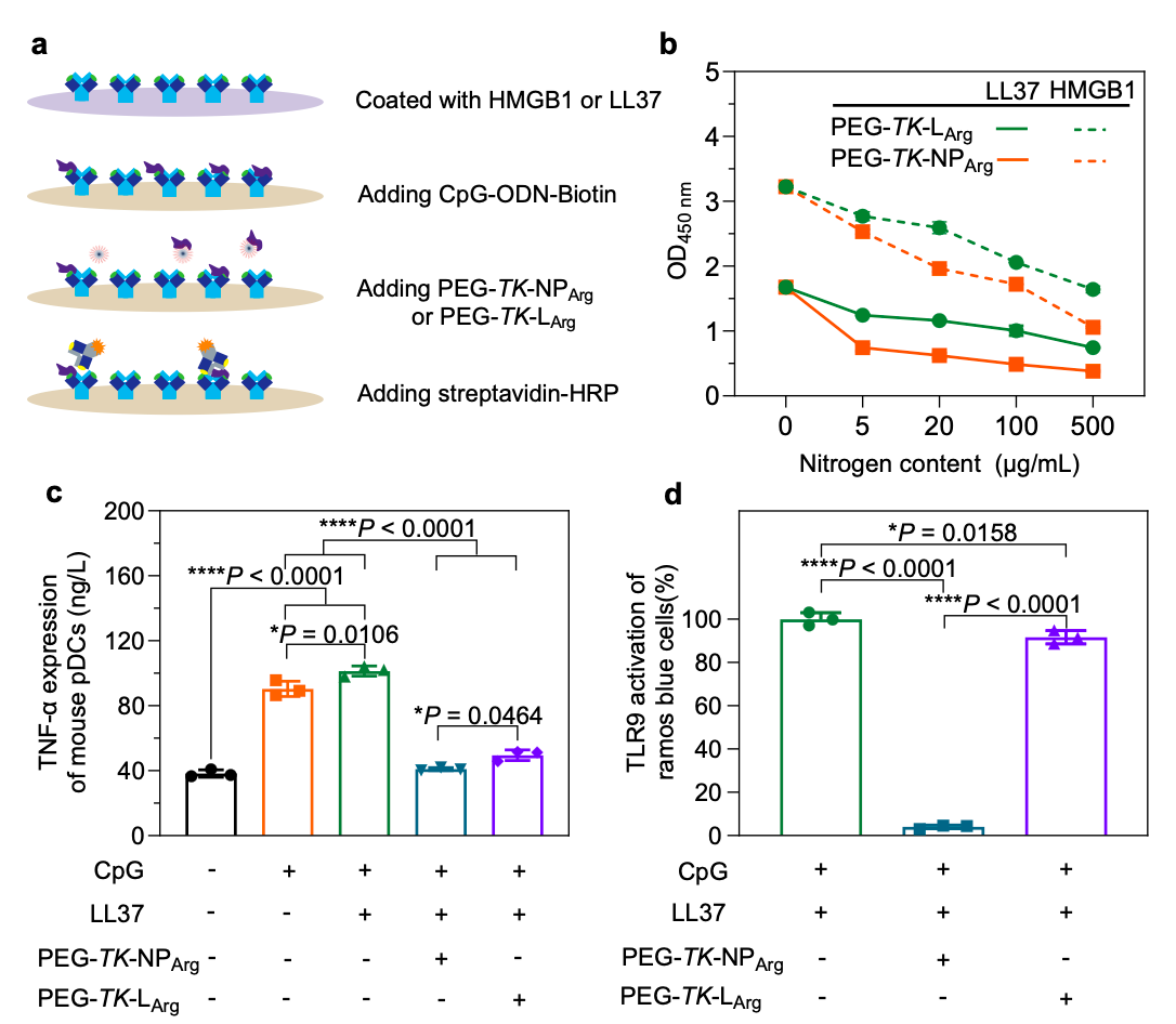 image-20240903144925-2