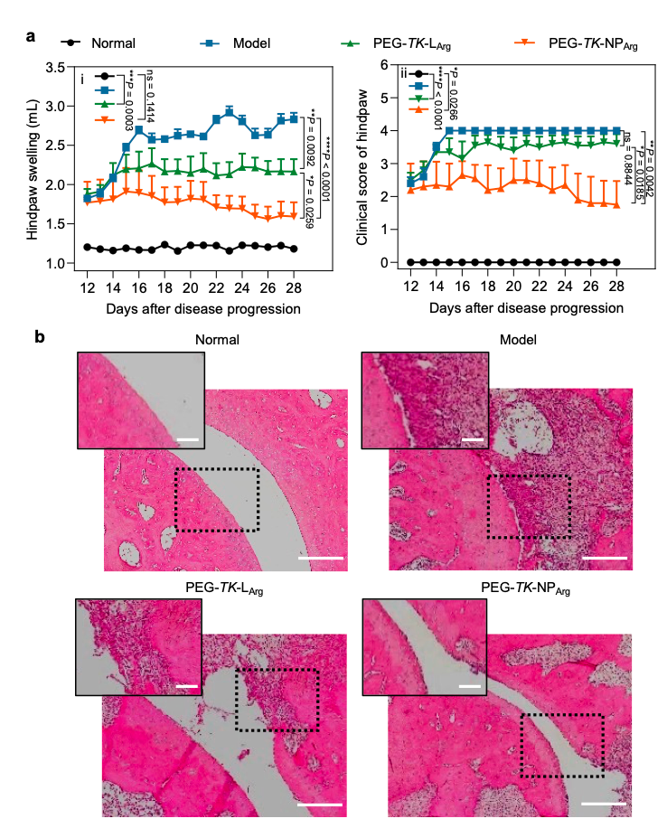 image-20240903144925-4