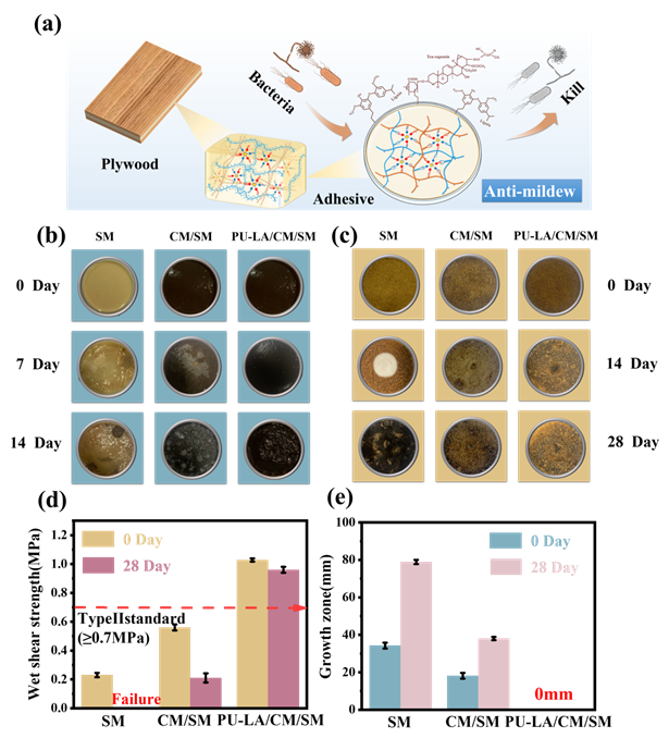 image-20240912105443-2