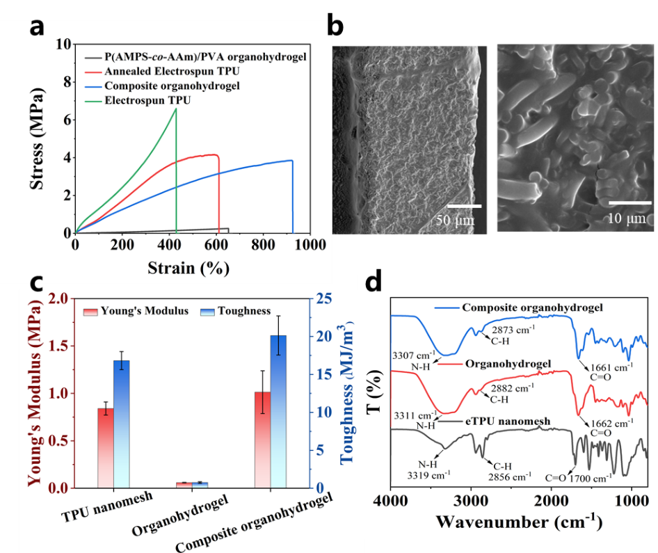 image-20240913092015-2