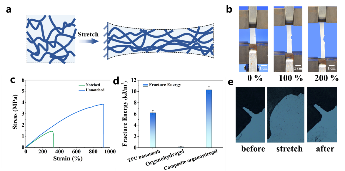 image-20240913092015-3